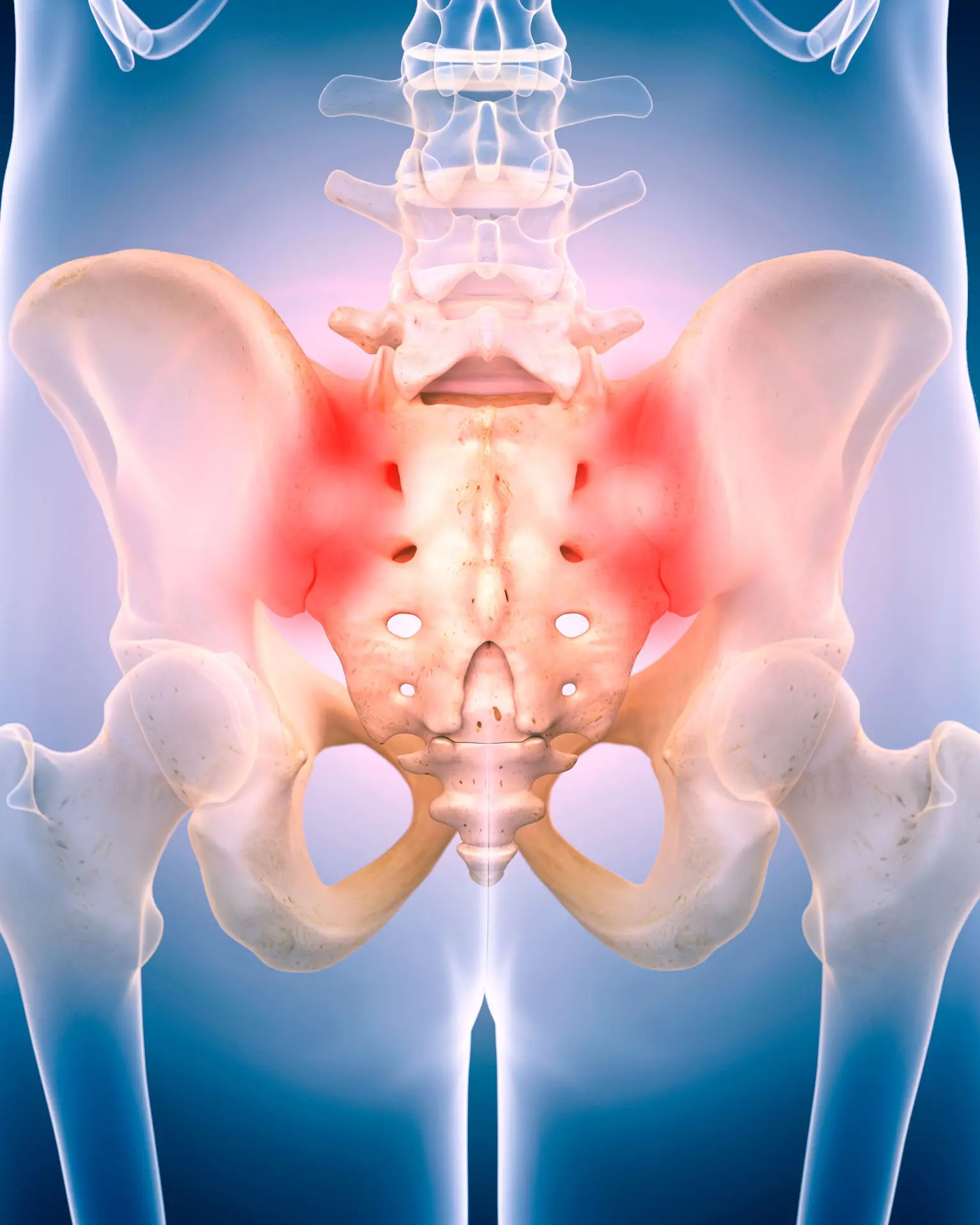 Representacion grafica de una pelvis